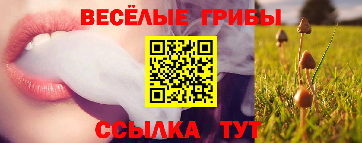 Псилоцибиновые грибы мухоморы Котовск